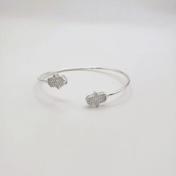 Pulsera de Plata